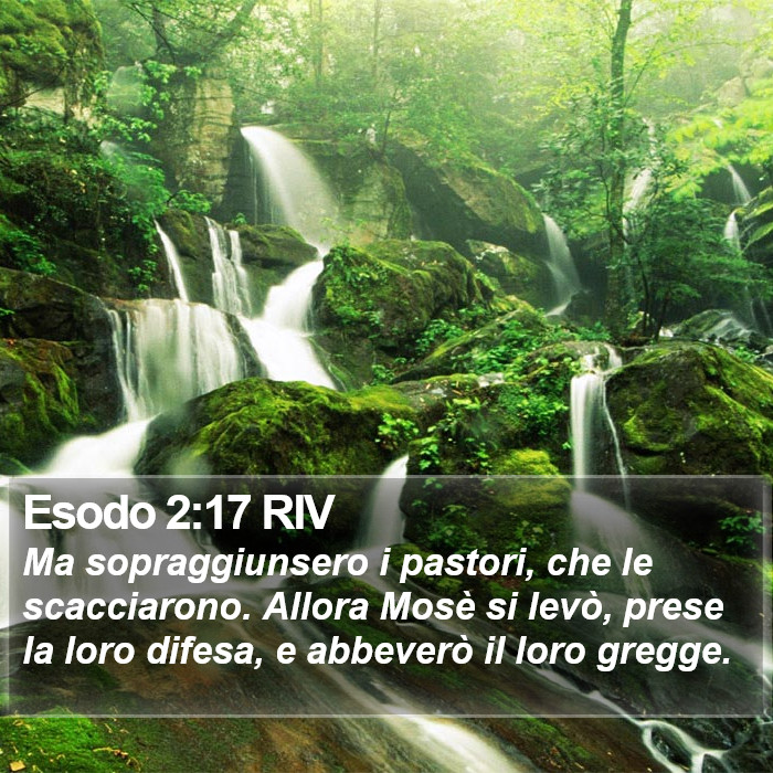 Esodo 2:17 RIV Bible Study