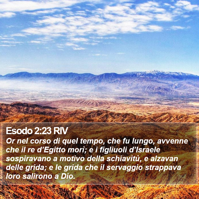 Esodo 2:23 RIV Bible Study