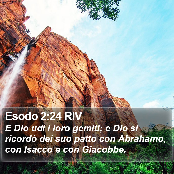 Esodo 2:24 RIV Bible Study