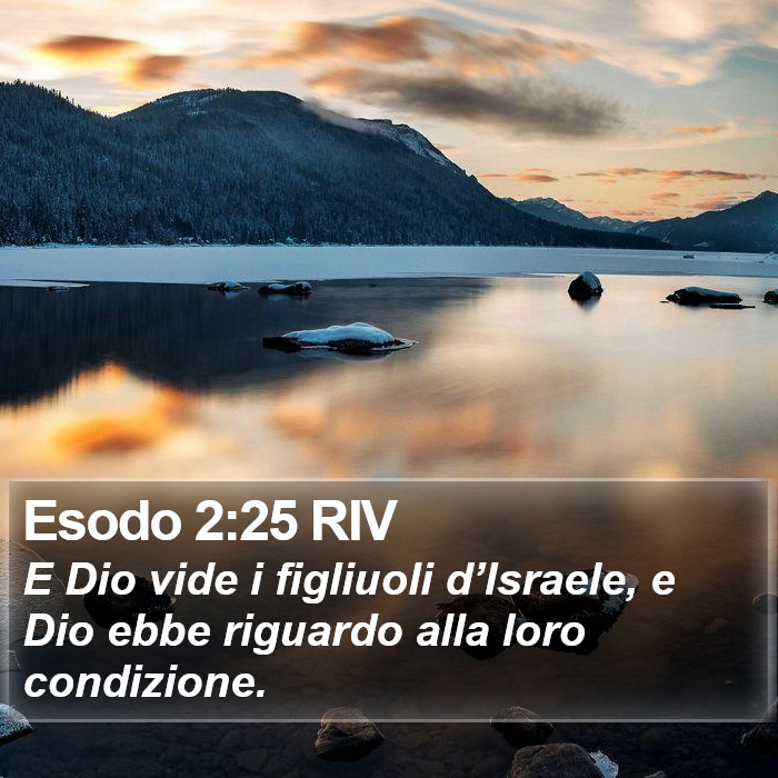 Esodo 2:25 RIV Bible Study