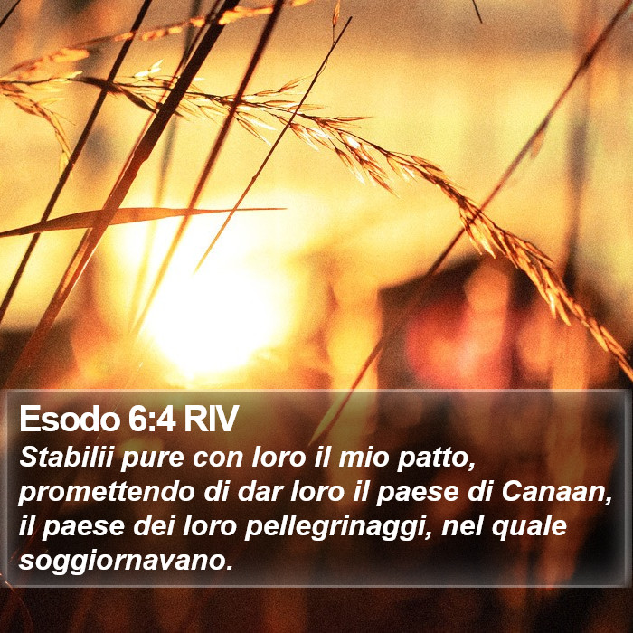 Esodo 6:4 RIV Bible Study