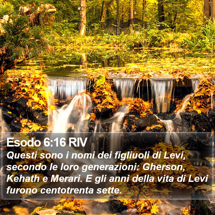 Esodo 6:16 RIV Bible Study