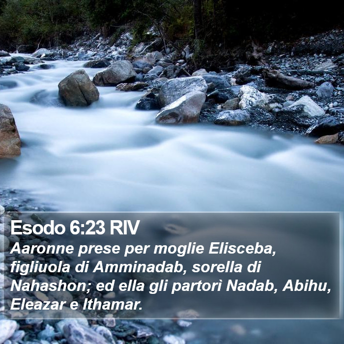 Esodo 6:23 RIV Bible Study