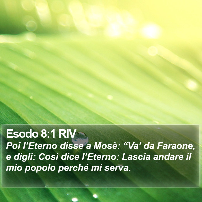 Esodo 8:1 RIV Bible Study