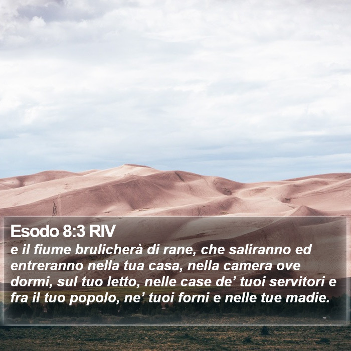 Esodo 8:3 RIV Bible Study