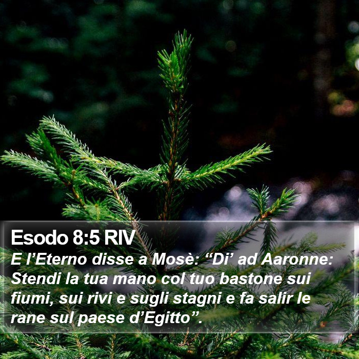 Esodo 8:5 RIV Bible Study