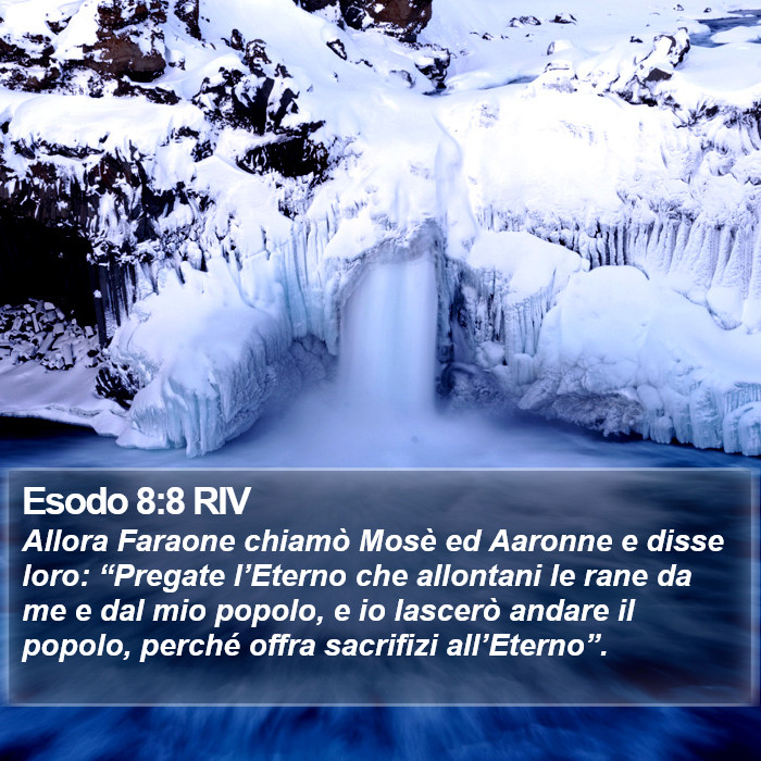 Esodo 8:8 RIV Bible Study