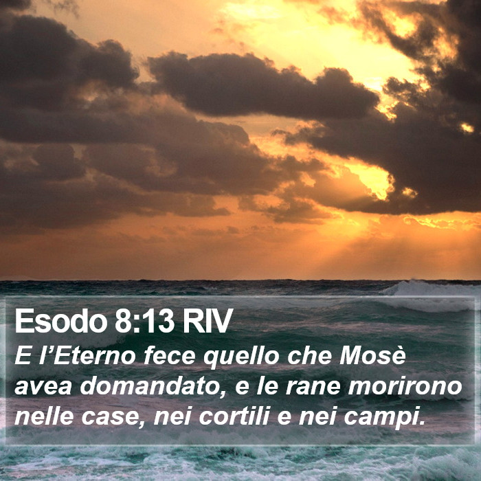 Esodo 8:13 RIV Bible Study