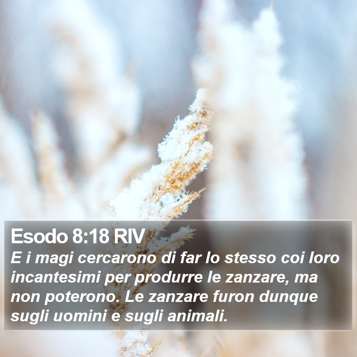 Esodo 8:18 RIV Bible Study