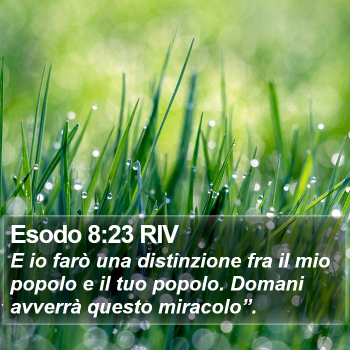 Esodo 8:23 RIV Bible Study