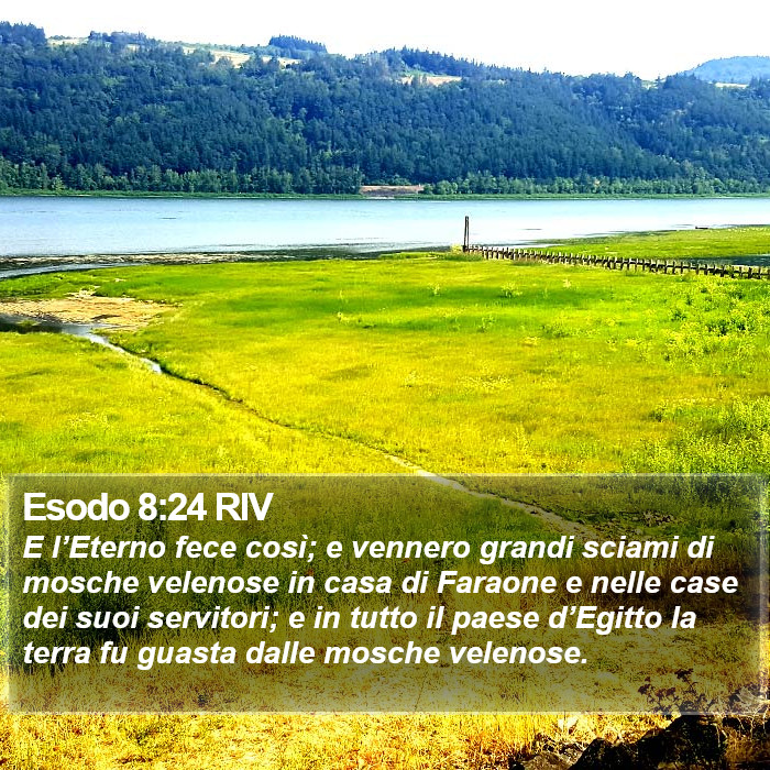 Esodo 8:24 RIV Bible Study