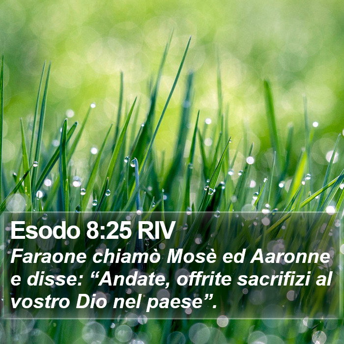 Esodo 8:25 RIV Bible Study