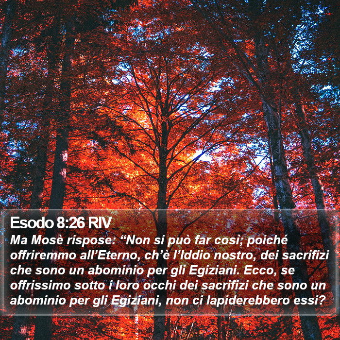 Esodo 8:26 RIV Bible Study