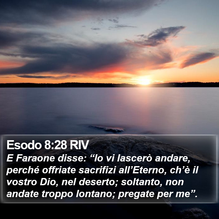 Esodo 8:28 RIV Bible Study