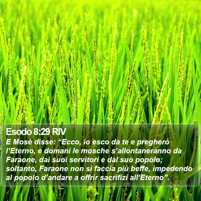 Esodo 8:29 RIV Bible Study