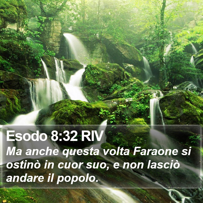 Esodo 8:32 RIV Bible Study