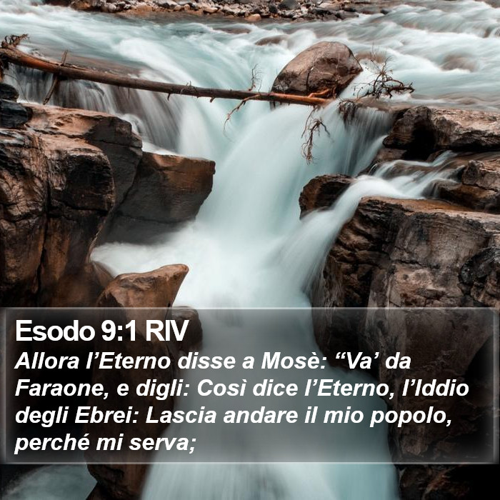 Esodo 9:1 RIV Bible Study