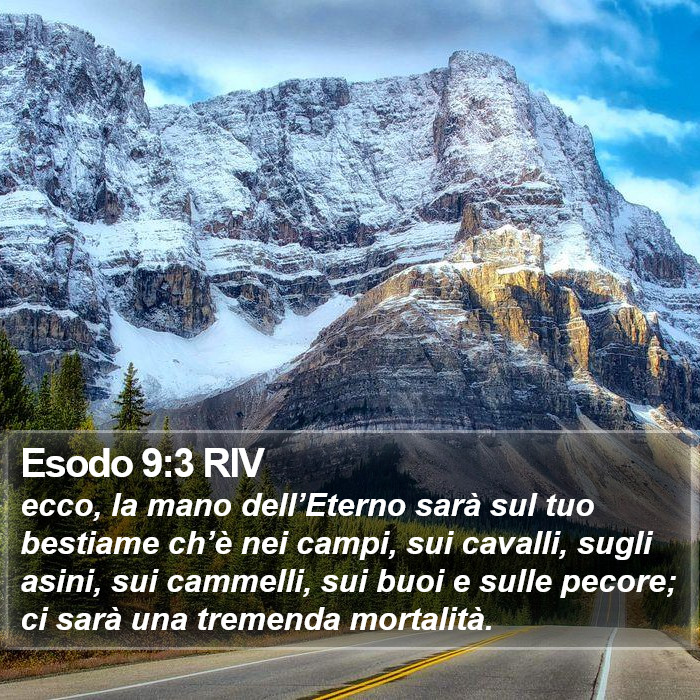 Esodo 9:3 RIV Bible Study