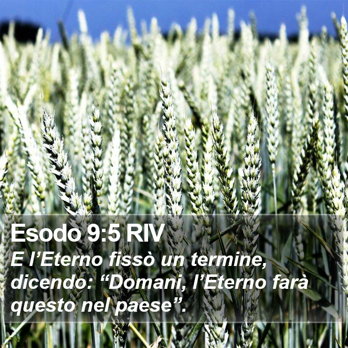 Esodo 9:5 RIV Bible Study