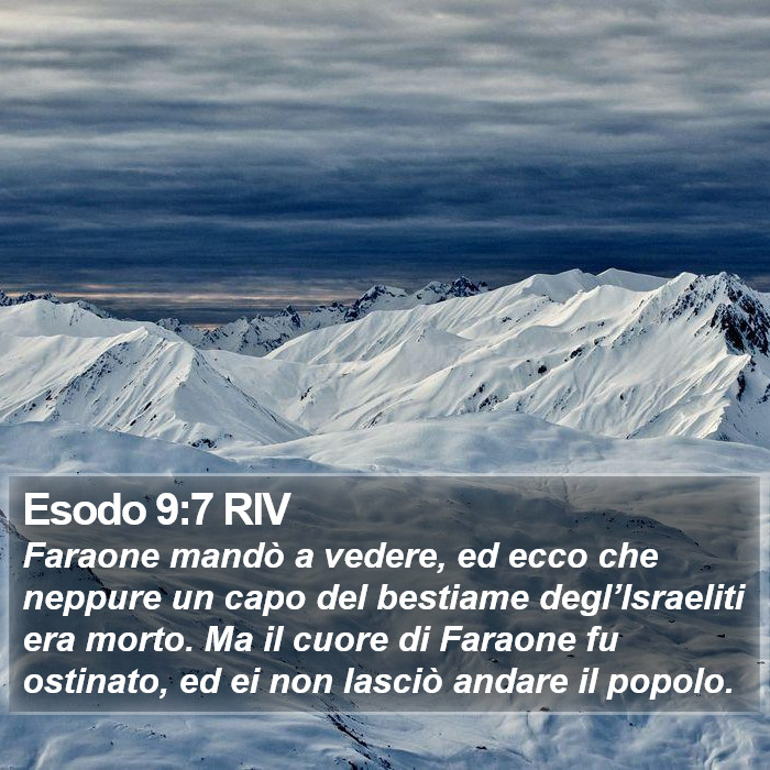 Esodo 9:7 RIV Bible Study