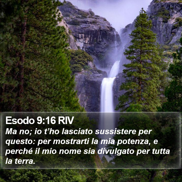 Esodo 9:16 RIV Bible Study