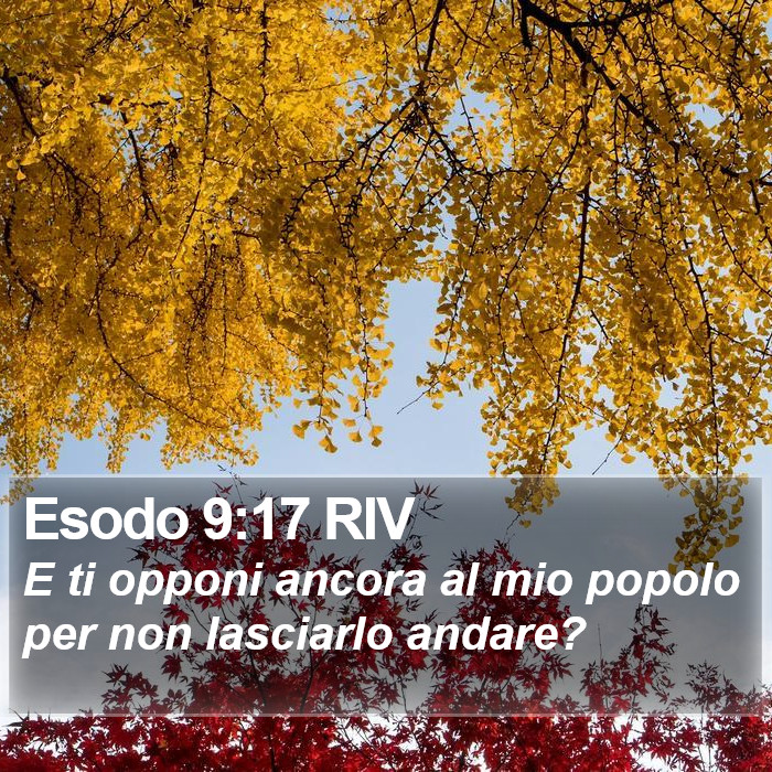 Esodo 9:17 RIV Bible Study