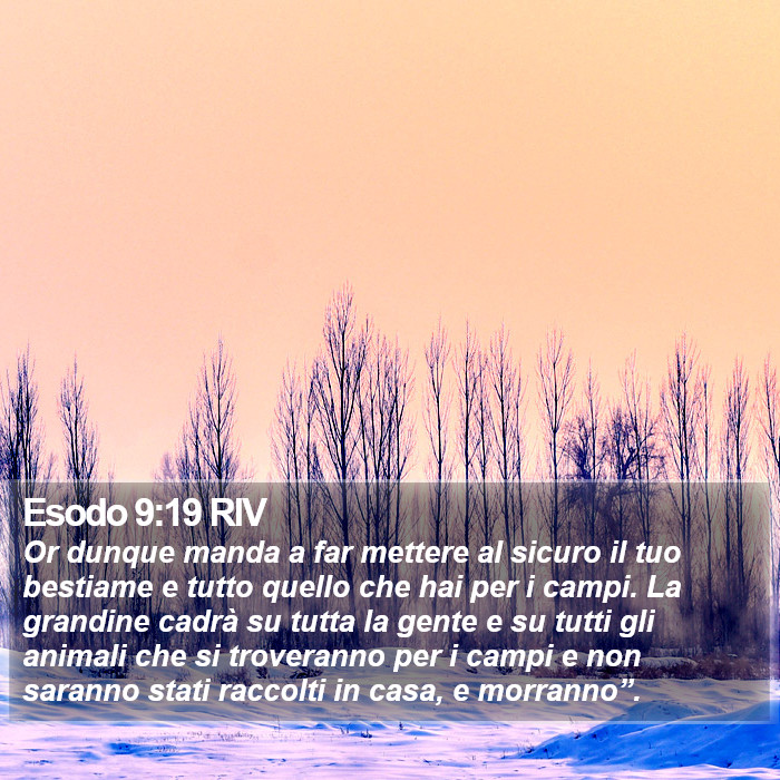 Esodo 9:19 RIV Bible Study