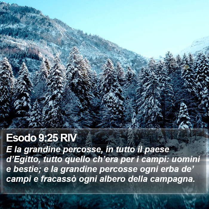 Esodo 9:25 RIV Bible Study