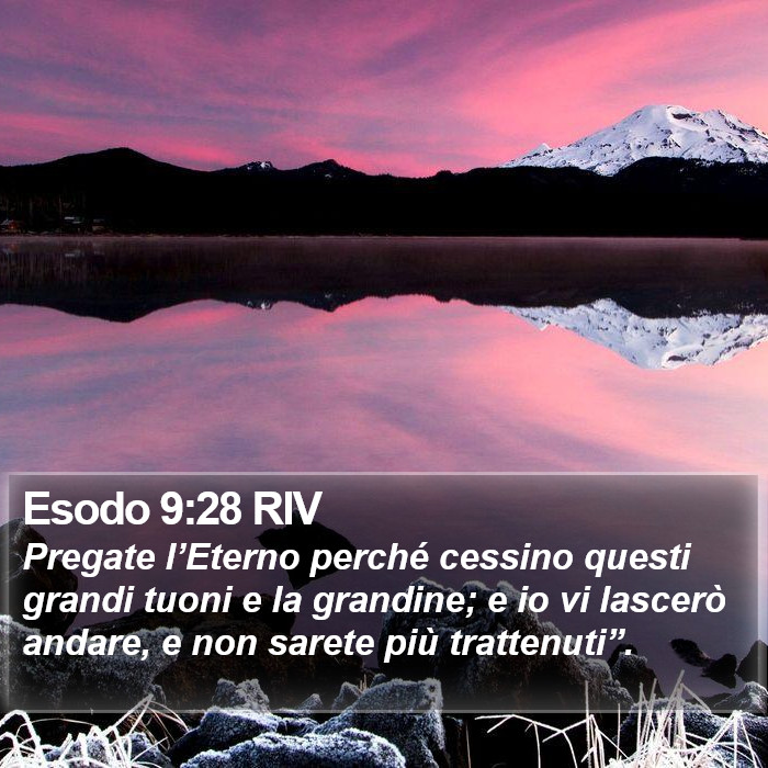 Esodo 9:28 RIV Bible Study