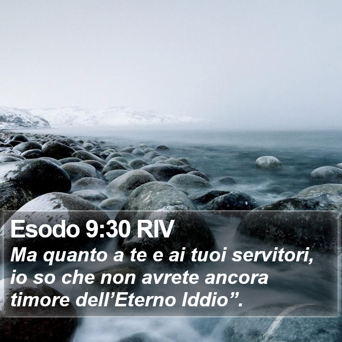 Esodo 9:30 RIV Bible Study