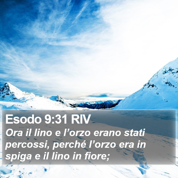 Esodo 9:31 RIV Bible Study