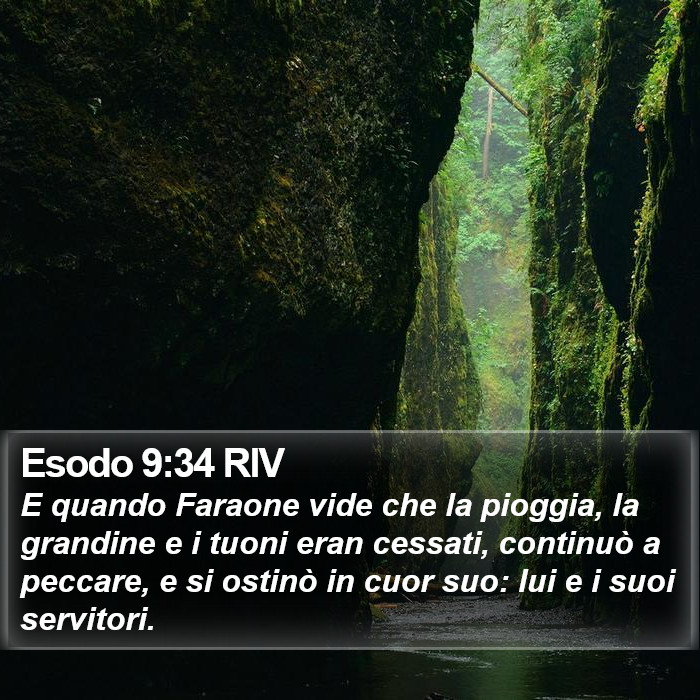 Esodo 9:34 RIV Bible Study