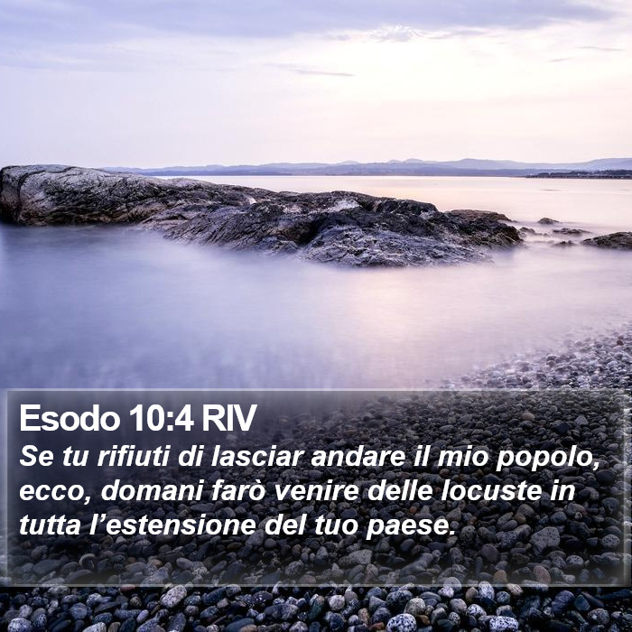 Esodo 10:4 RIV Bible Study