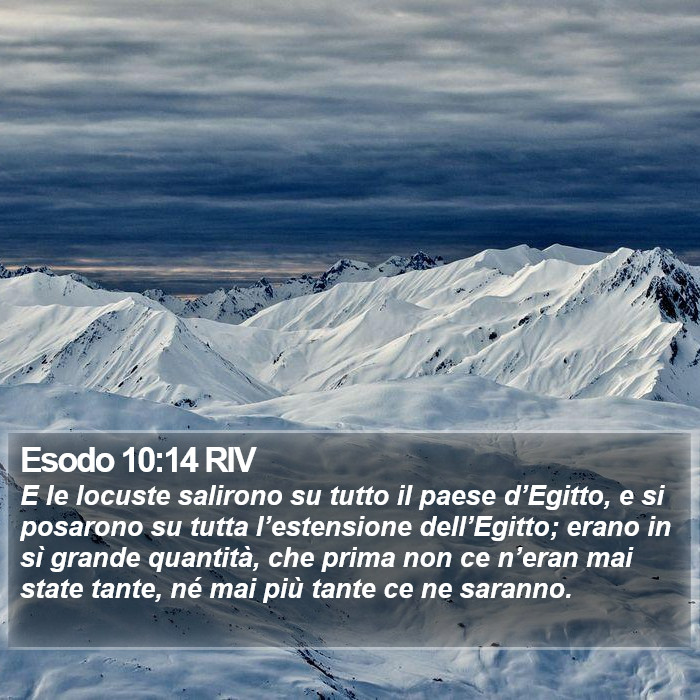 Esodo 10:14 RIV Bible Study