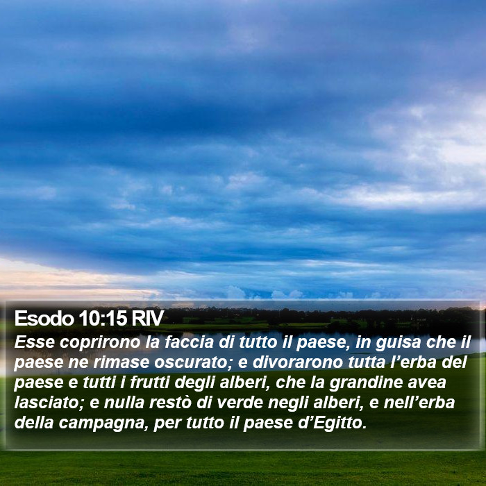 Esodo 10:15 RIV Bible Study