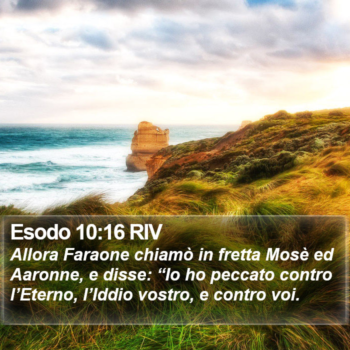 Esodo 10:16 RIV Bible Study