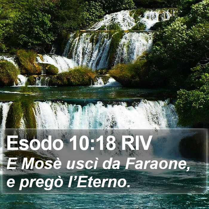 Esodo 10:18 RIV Bible Study