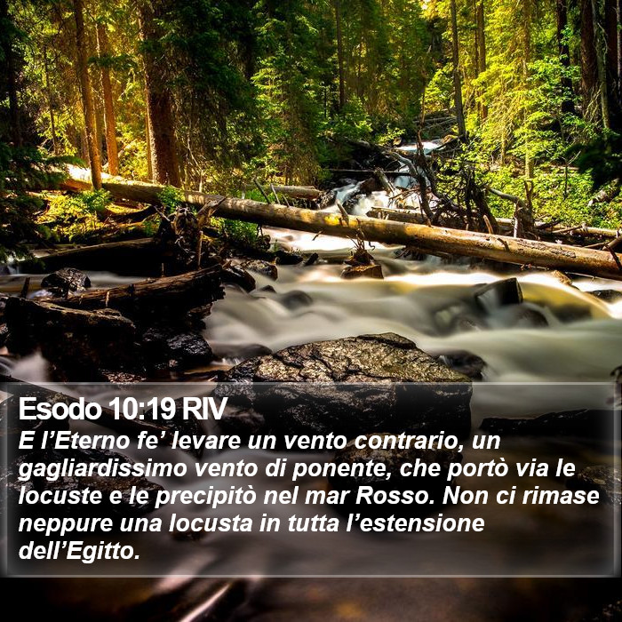 Esodo 10:19 RIV Bible Study