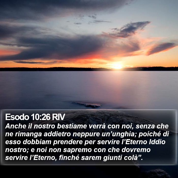 Esodo 10:26 RIV Bible Study