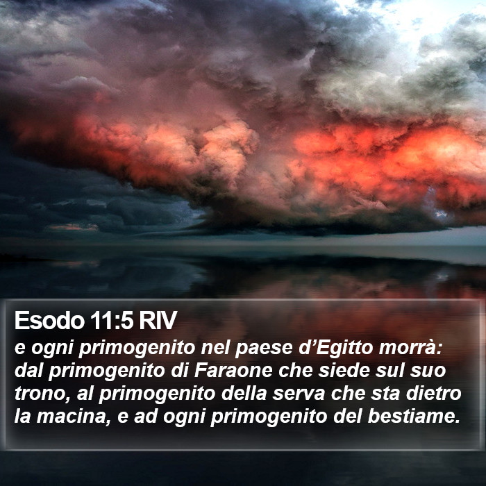 Esodo 11:5 RIV Bible Study