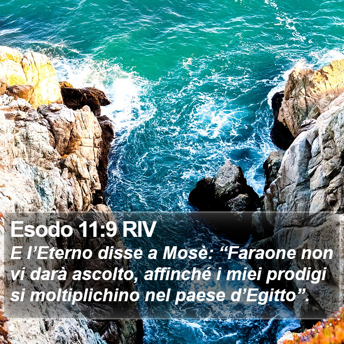 Esodo 11:9 RIV Bible Study
