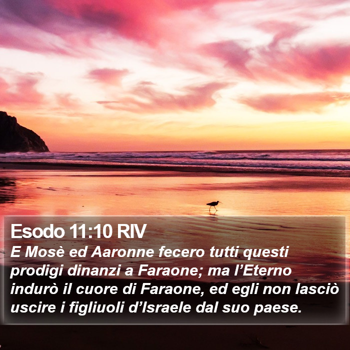 Esodo 11:10 RIV Bible Study