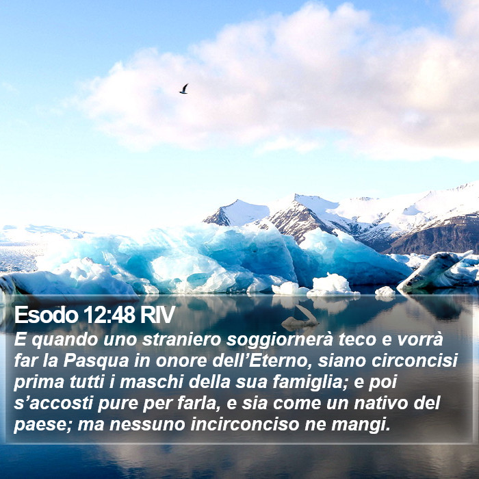 Esodo 12:48 RIV Bible Study