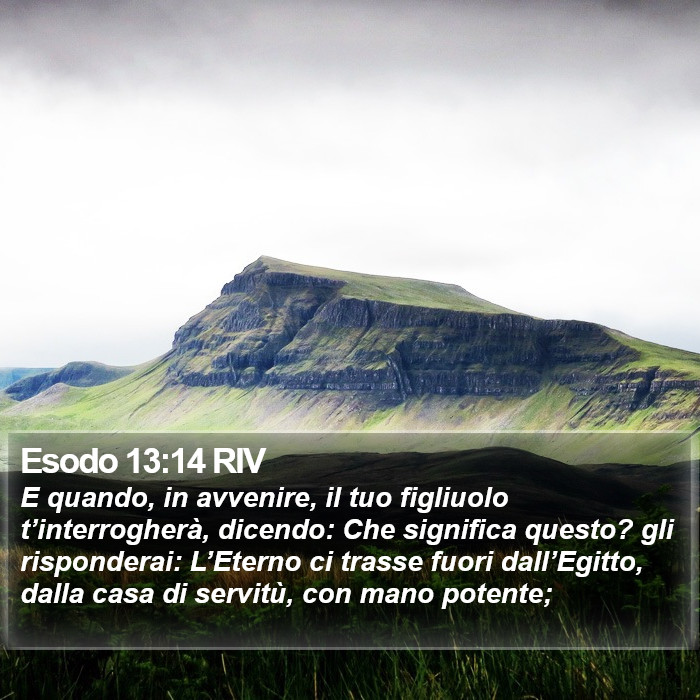 Esodo 13:14 RIV Bible Study
