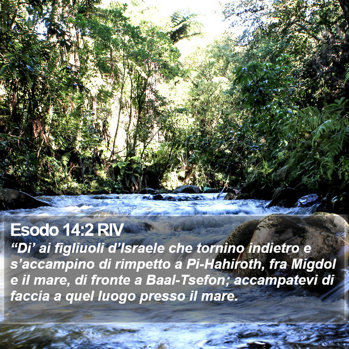 Esodo 14:2 RIV Bible Study