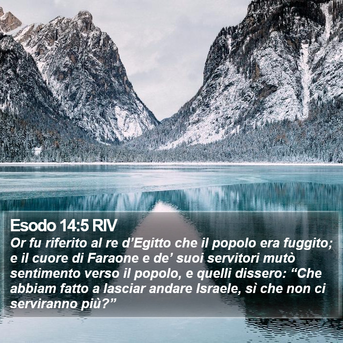 Esodo 14:5 RIV Bible Study