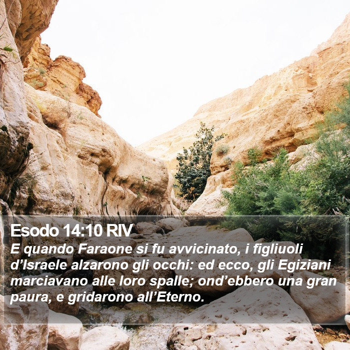 Esodo 14:10 RIV Bible Study