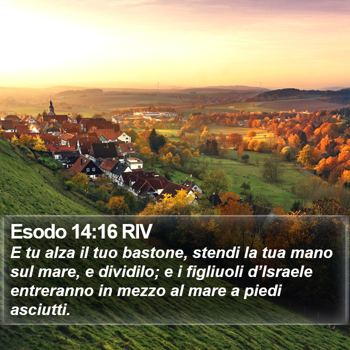 Esodo 14:16 RIV Bible Study