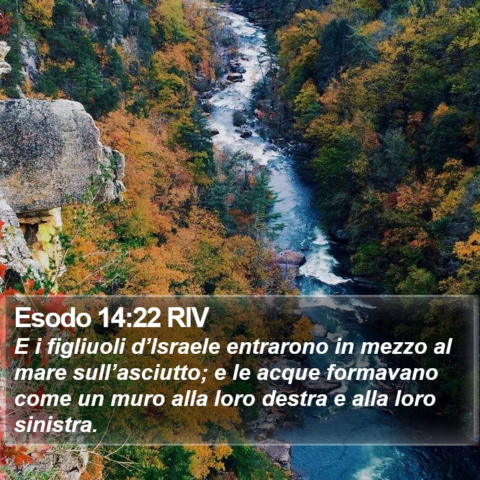 Esodo 14:22 RIV Bible Study