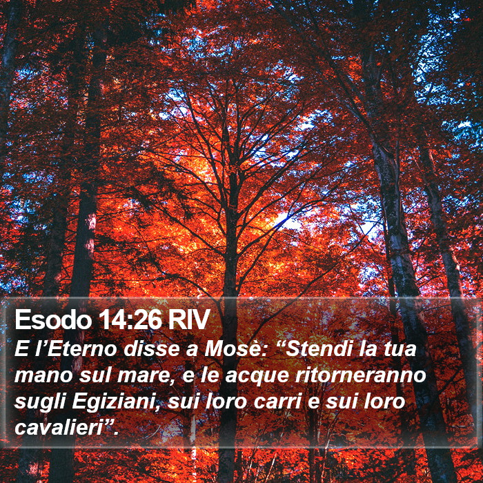 Esodo 14:26 RIV Bible Study